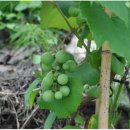 승준농장 이미지