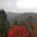 금광초등학교 이미지