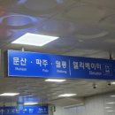 사단법인유스드림 | [유기견봉사] 파주 빅독 포레스트 유기견 청소봉사 어땠는지 알려드림/유기견 봉사를 고민하는 그대에게