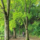 대청댐물문화관 이미지