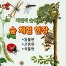 별님과달님 이미지