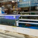 삼국지어시장 이미지