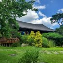 너른마당 이미지