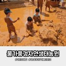 대동농장 | 물가풍경 자연생태농원 후기 초등아이들이 난리난 6월 자연체험농장