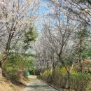 몽마르뜨공원 이미지