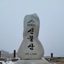 영남 알프스 신불산&영축산&간월산(2021. 2. 27) -② 이미지
