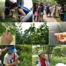 한국숲해설가협회 이미지