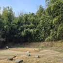 서재필박사 본가지 이미지