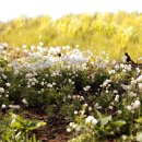 호숫가의 풍경 이미지