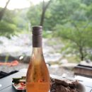 와인지몽 이미지