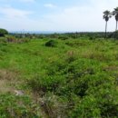 강정동-7 이미지