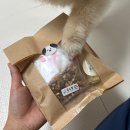 몽슈 | 제주 삼화지구 반려견 수제간식점 몽슈밀 강아지 간식, 화식 내돈내산 후기