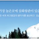 삼화왕관 채용 / 삼화왕관 2011년 하반기 인재 채용(~11/13) 이미지