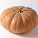 김길순농장 이미지