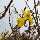 동해파크 이미지