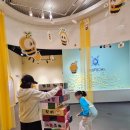 달려라호랑이 | 백두대간 수목원 달려라 어흥카트