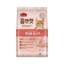 홈캣 쇼핑하우