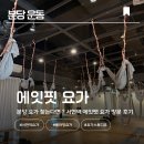 분당-361 | [분당 운동] 서현역 요가 추천, 에잇핏 요가 다녀온 리얼 후기