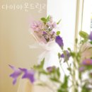 다이아몬드릴리