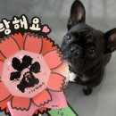 두유 개린이집 이미지