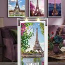 아모르 몽 이미지