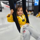 품태권도장 이미지