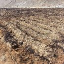 민재농장 이미지