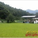 외서면 우산리 Daum카페