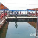 태극호좌대 이미지