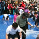 거제도 봄꽃&amp;숭어축제 이미지