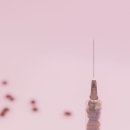 세운의료기 이미지