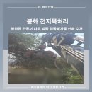 봉화읍사무소 | 봉화 전지목처리 봉화읍 관공서 나무 벌목 임목폐기물 까지 신속하게 수거 임목 처리하는 업체 여기...
