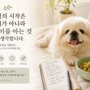 네추럴레매디