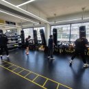 복싱바이러스 동양점 이미지