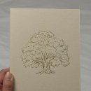 [MOIBIN X TROLLS PAPER] 2026 모아빈/트롤스페이퍼 콜라보 다이어리 후기