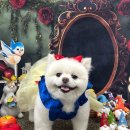 까까멍멍 이미지