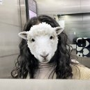롯데몰수지점헤븐온탑
