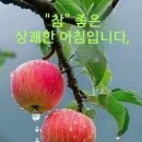 ●간추린 뉴스 및 운세● 이미지