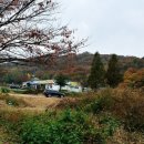 유식자동차 이미지