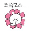 볼디스트대구성서