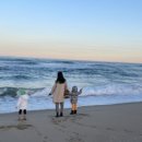 형제레지던스 이미지