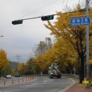 고양중학교 이미지