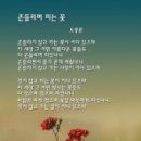 흔들리며 피는 꽃 이미지