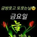 생생라이브 Daum카페