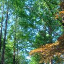 속리산 수라간 이미지