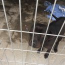 종보농장 이미지