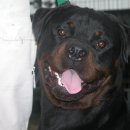 메이네B 이미지