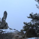 고잔고교 사거리 이미지