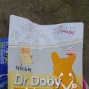 퍼피앤맘 이미지