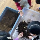 거학초등학교 이미지